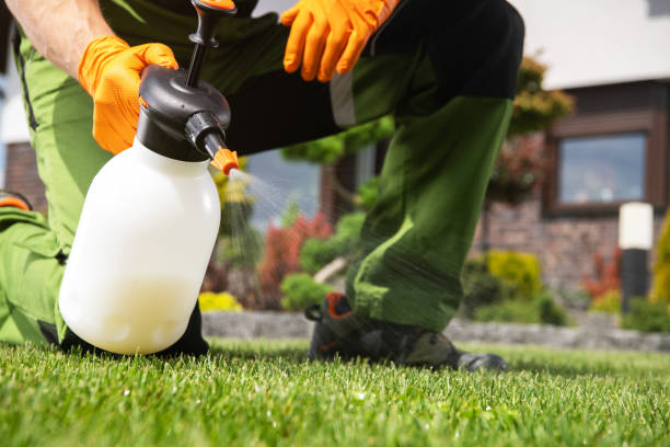 Best Affordable Pest Control Services  in Hoboken, NJ