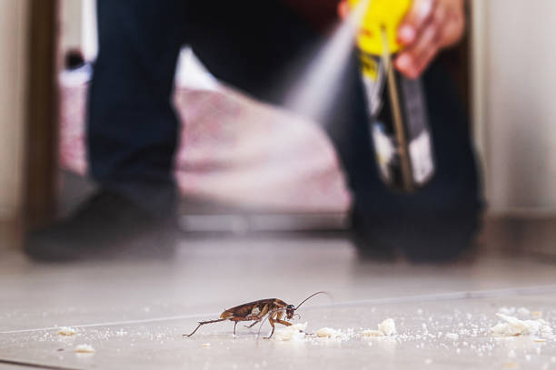 Best Best Pest Control Companies  in Hoboken, NJ